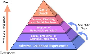 ACE Pyramid: Trauma and Development